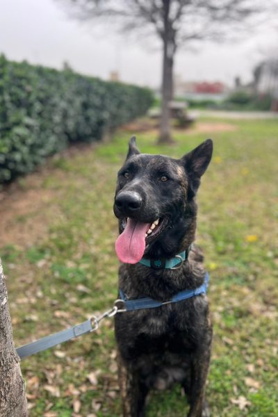 WhatsApp Image 2026-03-02 at 15.06.19 (2)