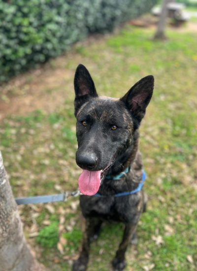 WhatsApp Image 2026-03-02 at 15.06.19