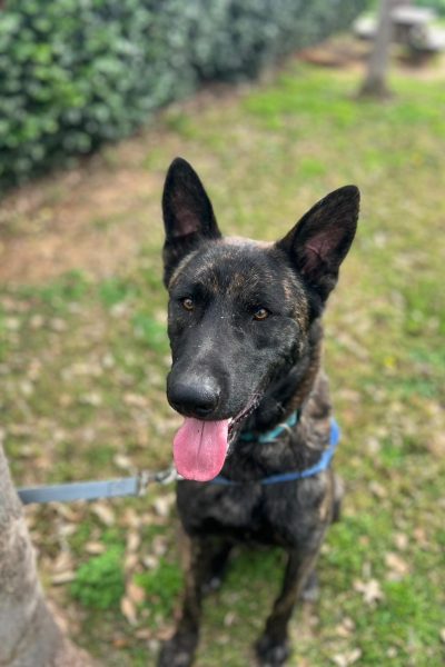 WhatsApp Image 2026-03-02 at 15.06.19