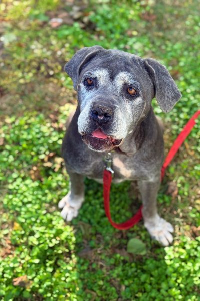 WhatsApp Image 2026-03-02 at 15.14.04 (1)