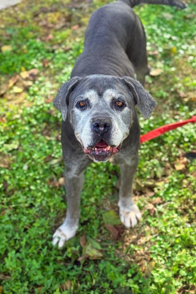 WhatsApp Image 2026-03-02 at 15.14.04 (2)