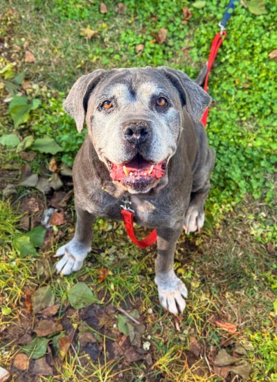 WhatsApp Image 2026-03-02 at 15.14.04 (3)