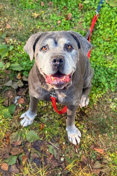 WhatsApp Image 2026-03-02 at 15.14.04 (3)