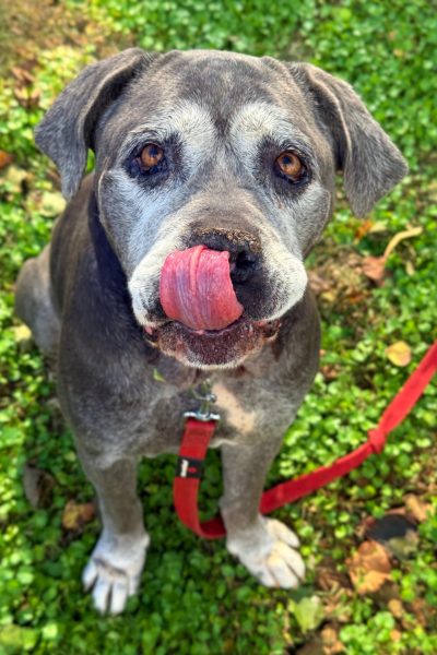 WhatsApp Image 2026-03-02 at 15.14.05 (1)