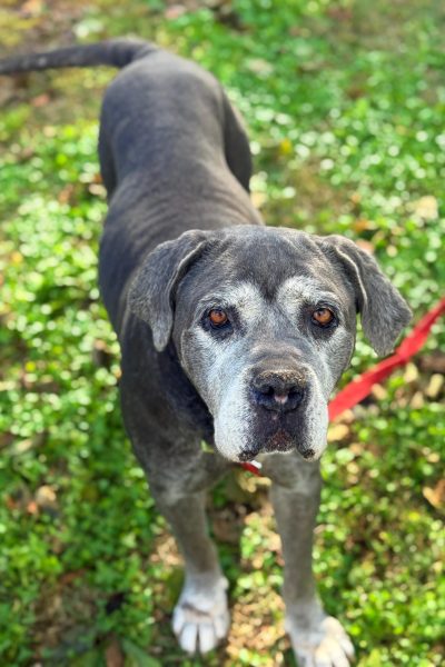 WhatsApp Image 2026-03-02 at 15.14.05