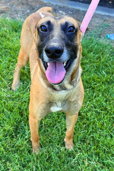 WhatsApp Image 2026-03-02 at 15.20.47 (1)