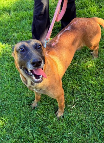 WhatsApp Image 2026-03-02 at 15.20.47 (2)