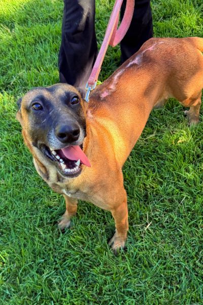 WhatsApp Image 2026-03-02 at 15.20.47 (2)