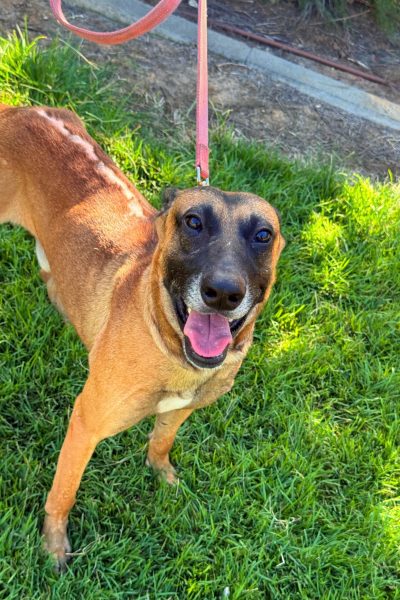 WhatsApp Image 2026-03-02 at 15.20.47 (3)