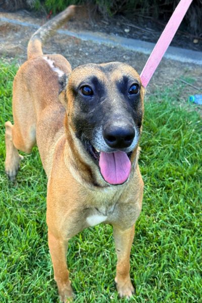 WhatsApp Image 2026-03-02 at 15.20.47