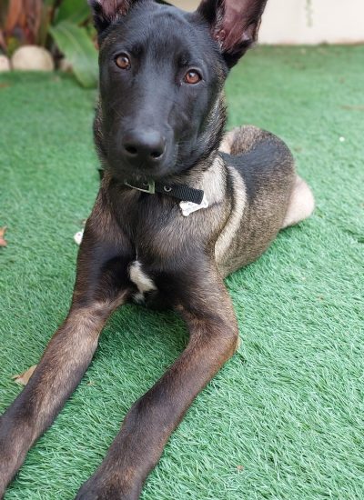 WhatsApp Image 2026-03-02 at 15.26.32