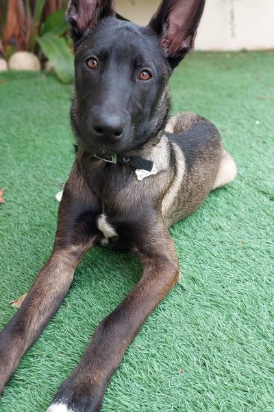 WhatsApp Image 2026-03-02 at 15.26.32