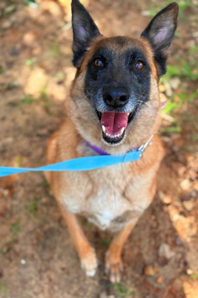 WhatsApp Image 2026-03-03 at 15.07.17