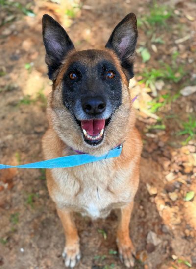 WhatsApp Image 2026-03-03 at 15.07.18 (1)