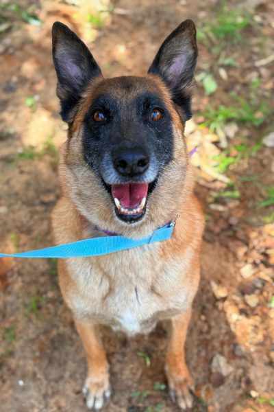 WhatsApp Image 2026-03-03 at 15.07.18 (1)