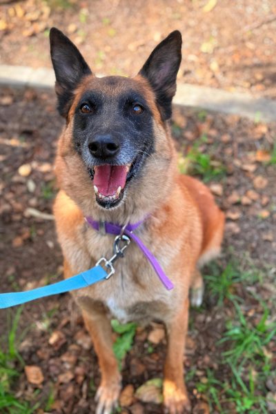 WhatsApp Image 2026-03-03 at 15.07.18 (2)