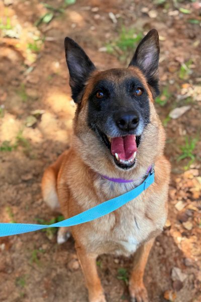 WhatsApp Image 2026-03-03 at 15.07.18 (3)