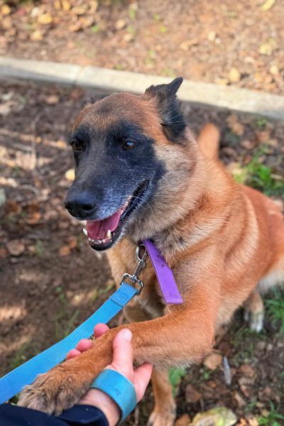 WhatsApp Image 2026-03-03 at 15.07.18