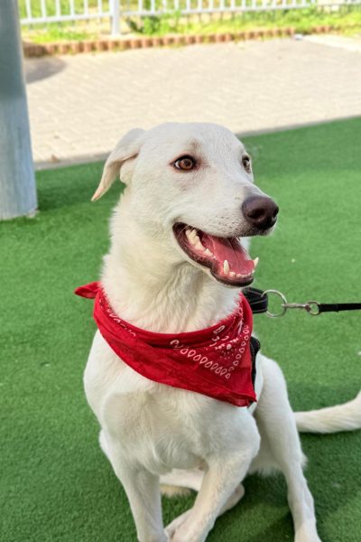 WhatsApp Image 2026-03-03 at 15.08.11