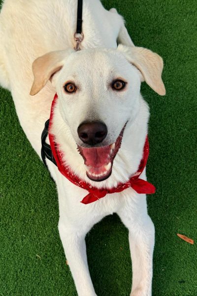 WhatsApp Image 2026-03-03 at 15.08.12 (1)