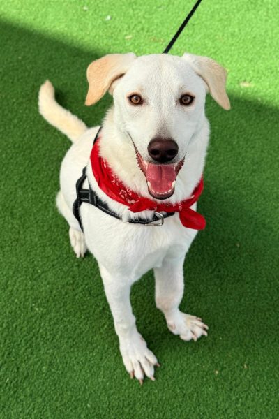 WhatsApp Image 2026-03-03 at 15.08.12 (2)