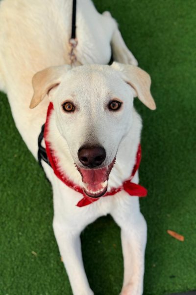 WhatsApp Image 2026-03-03 at 15.08.12