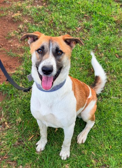 WhatsApp Image 2026-03-03 at 15.40.49