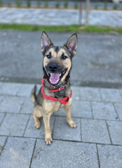 WhatsApp Image 2026-03-03 at 15.41.31