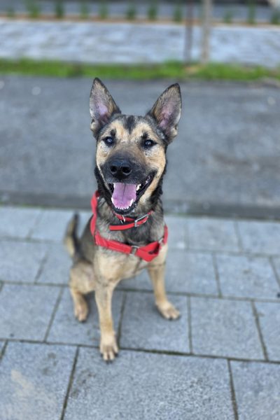 WhatsApp Image 2026-03-03 at 15.41.31