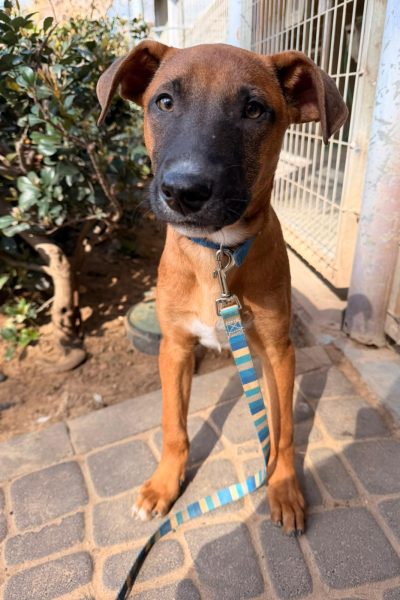 WhatsApp Image 2026-03-05 at 14.26.27 (1)