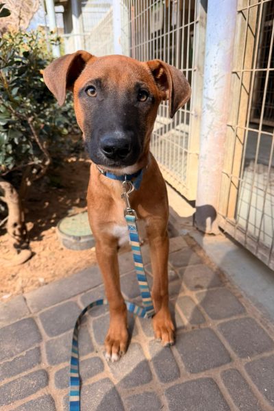 WhatsApp Image 2026-03-05 at 14.26.27