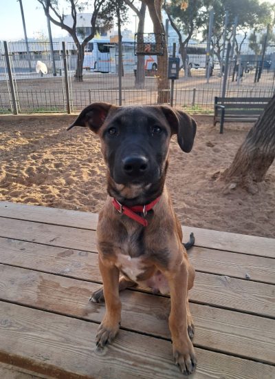 WhatsApp Image 2026-03-05 at 14.26.51