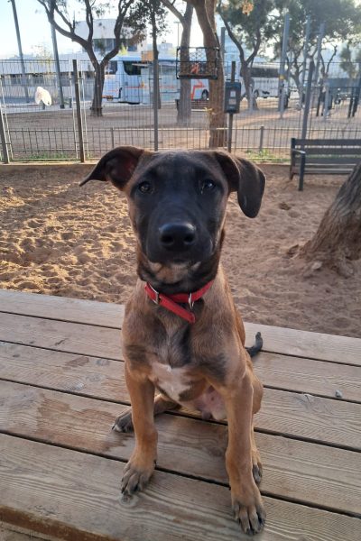 WhatsApp Image 2026-03-05 at 14.26.51