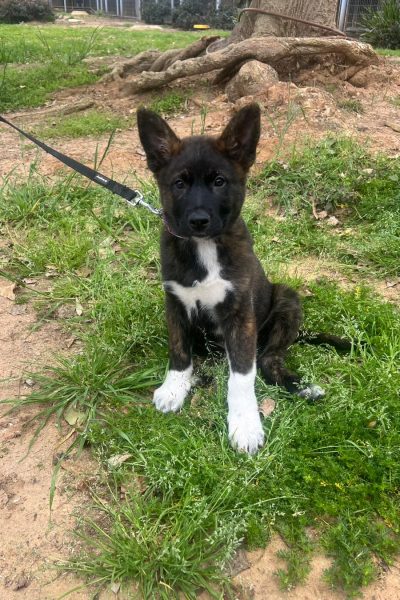 WhatsApp Image 2026-03-07 at 10.05.29 (1)