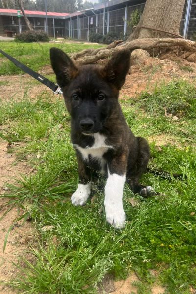 WhatsApp Image 2026-03-07 at 10.05.29