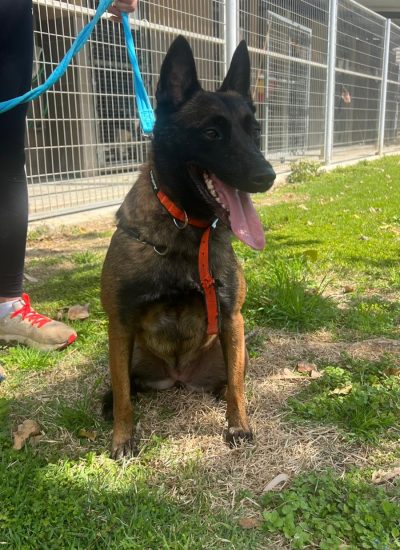 WhatsApp Image 2026-03-07 at 10.59.29