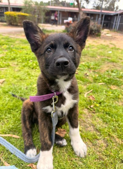 WhatsApp Image 2026-03-07 at 12.06.37