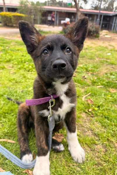 WhatsApp Image 2026-03-07 at 12.06.37