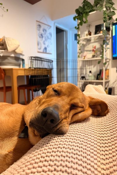 WhatsApp Image 2026-03-08 at 09.10.24 (1)