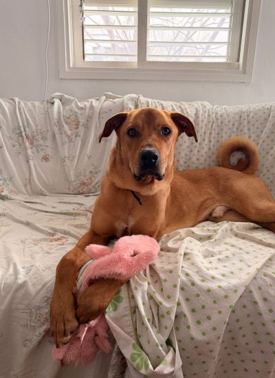 WhatsApp Image 2026-03-08 at 09.10.24