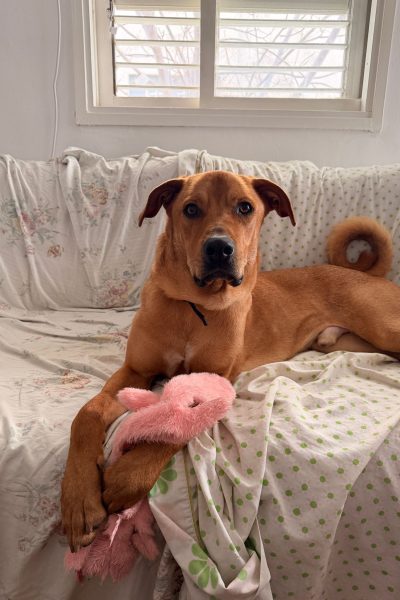 WhatsApp Image 2026-03-08 at 09.10.24