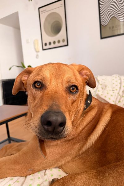 WhatsApp Image 2026-03-08 at 09.10.25