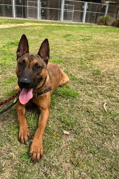 WhatsApp Image 2026-03-14 at 10.16.17