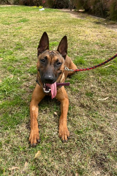 WhatsApp Image 2026-03-14 at 10.16.17