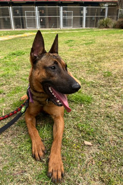 WhatsApp Image 2026-03-14 at 10.16.18