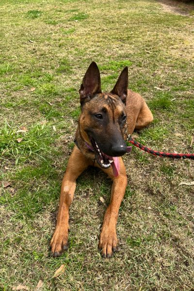 WhatsApp Image 2026-03-14 at 10.16.19