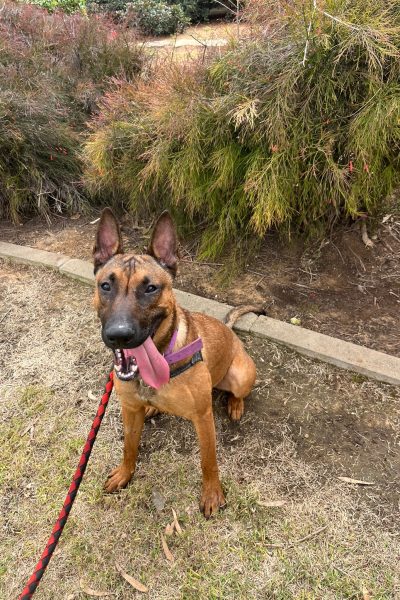 WhatsApp Image 2026-03-14 at 10.16.20