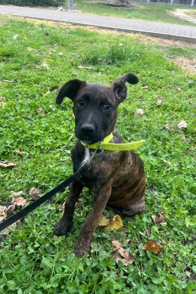 WhatsApp Image 2026-03-18 at 11.32.13