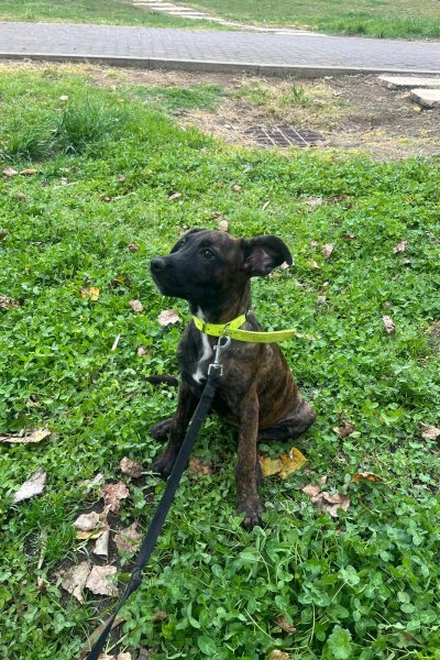 WhatsApp Image 2026-03-18 at 11.32.14