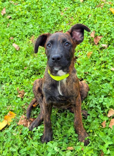 WhatsApp Image 2026-03-18 at 12.35.17